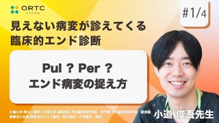 Pul?Per?エンド病変の捉え方